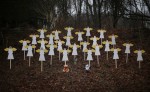 Newtown_Angels